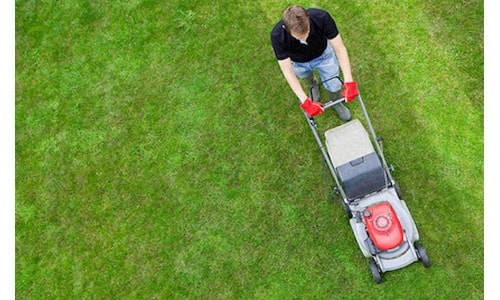 How to Mow a Lawn with a Push Mower